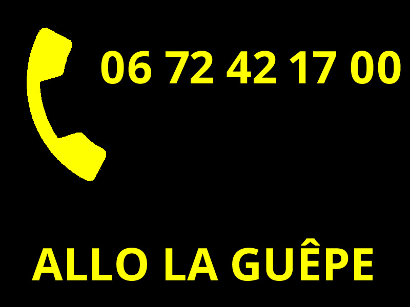 ALLO LA-GUEPE