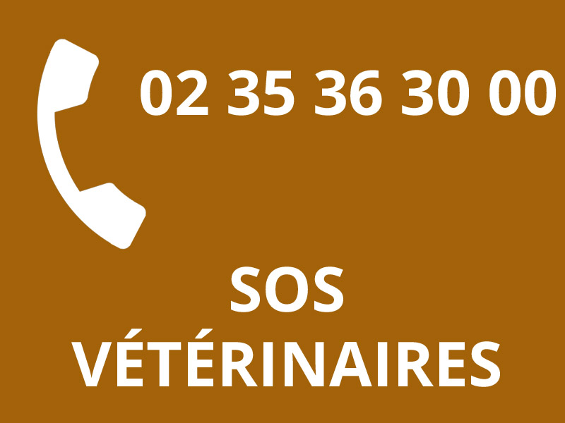 VETERINAIRES